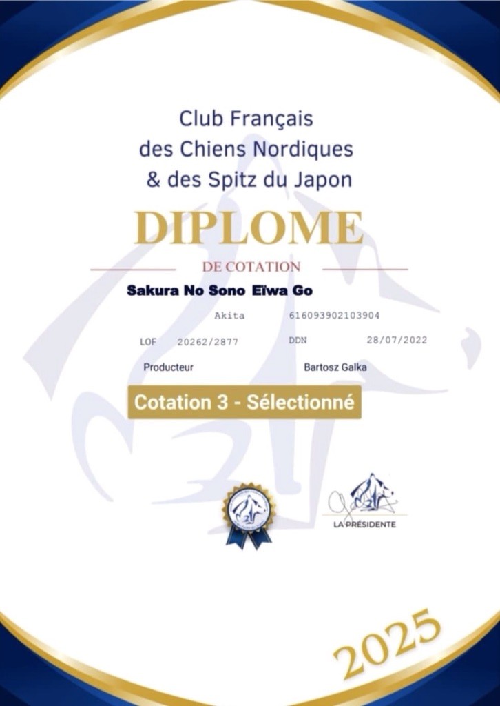 Kyomi a validé sa cotation 3 